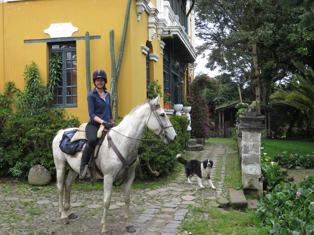 Отель Hacienda La Alegria Экстерьер фото