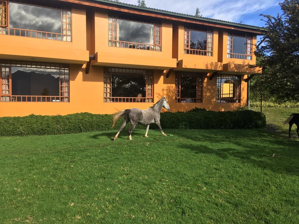 Отель Hacienda La Alegria Экстерьер фото